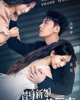 替身新娘：陆总的第一宠妻 高清封面