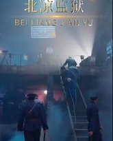 新北凉王 高清封面