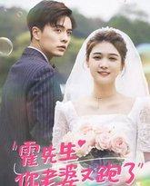 霍先生你老婆又跑了 高清封面