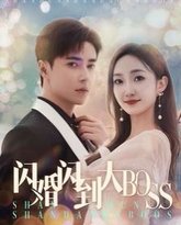 闪婚闪到大BOOS 高清封面