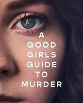 好女孩的谋杀调查指南 封面