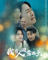 我寄人间雪满头 高清封面