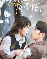 闪婚后，豪门夫妇马甲捂不住了 高清封面