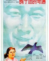 鸽子迷的奇遇 封面