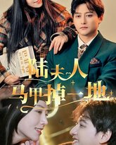 陆夫人马甲掉一地 高清封面