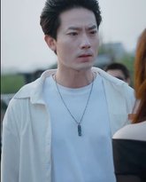 特种上门女婿 高清封面