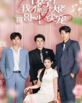 不装了，我才是三个大佬哥哥的心尖宠 高清封面