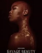 美丽破坏者 第二季 高清封面