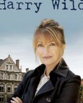 野探哈莉 第三季 高清封面