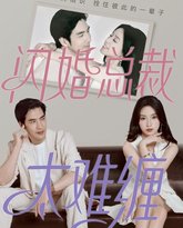 闪婚总裁太难缠 高清封面