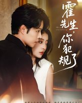 霍先生你犯规了 高清封面