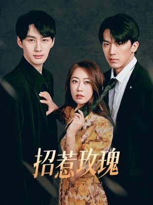 招惹玫瑰 高清封面