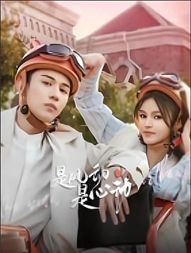 是风动、是心动 封面