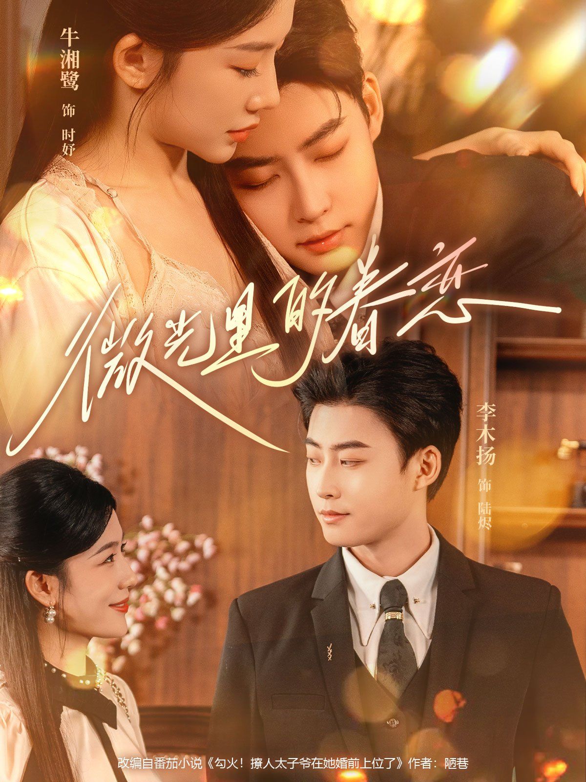 微光里的眷恋 高清封面