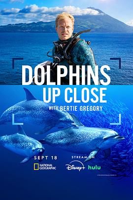 摄影师贝尔蒂与海豚零距离 高清封面