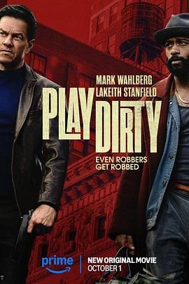 盗亦有道2025 封面