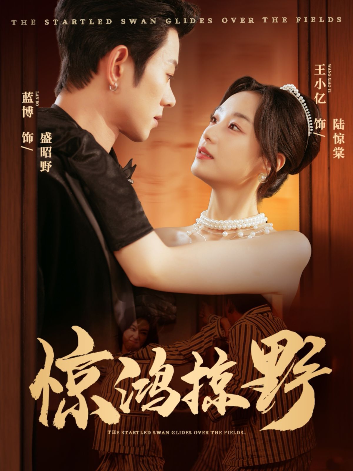 惊鸿掠野 高清封面