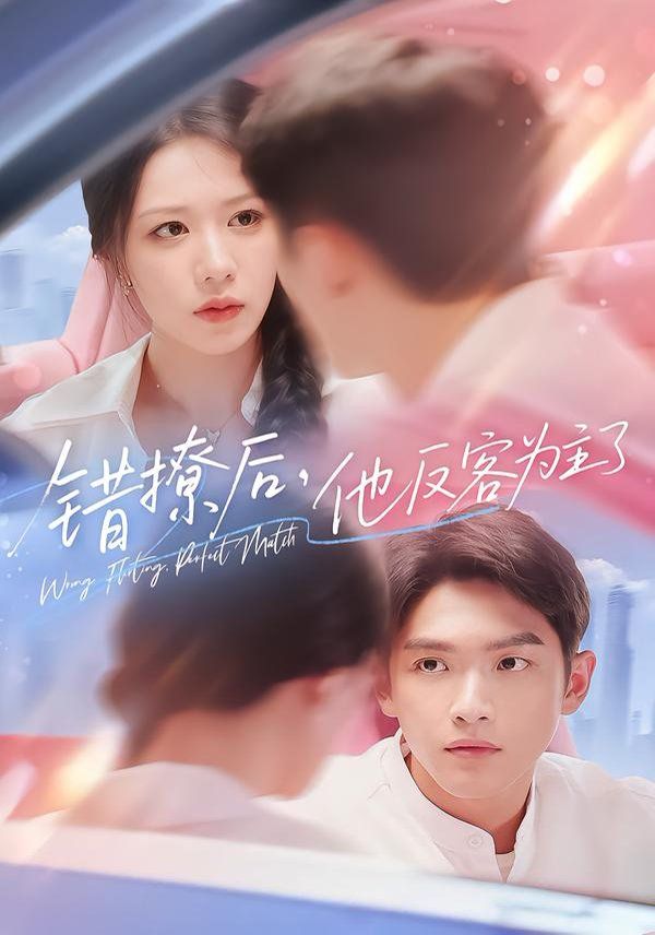 错撩后他反客为主了 高清封面