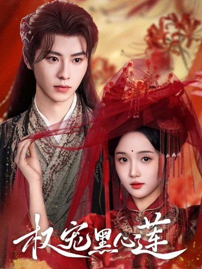 权宠黑心莲 高清封面