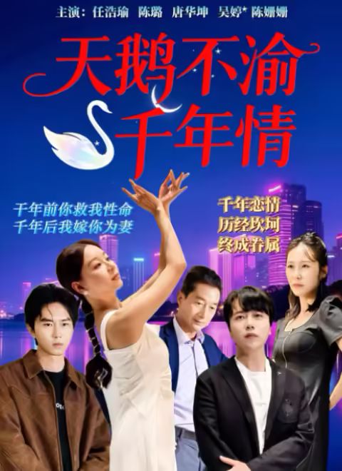 天鹅不渝千年情 封面