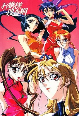 大小姐搜查网 封面