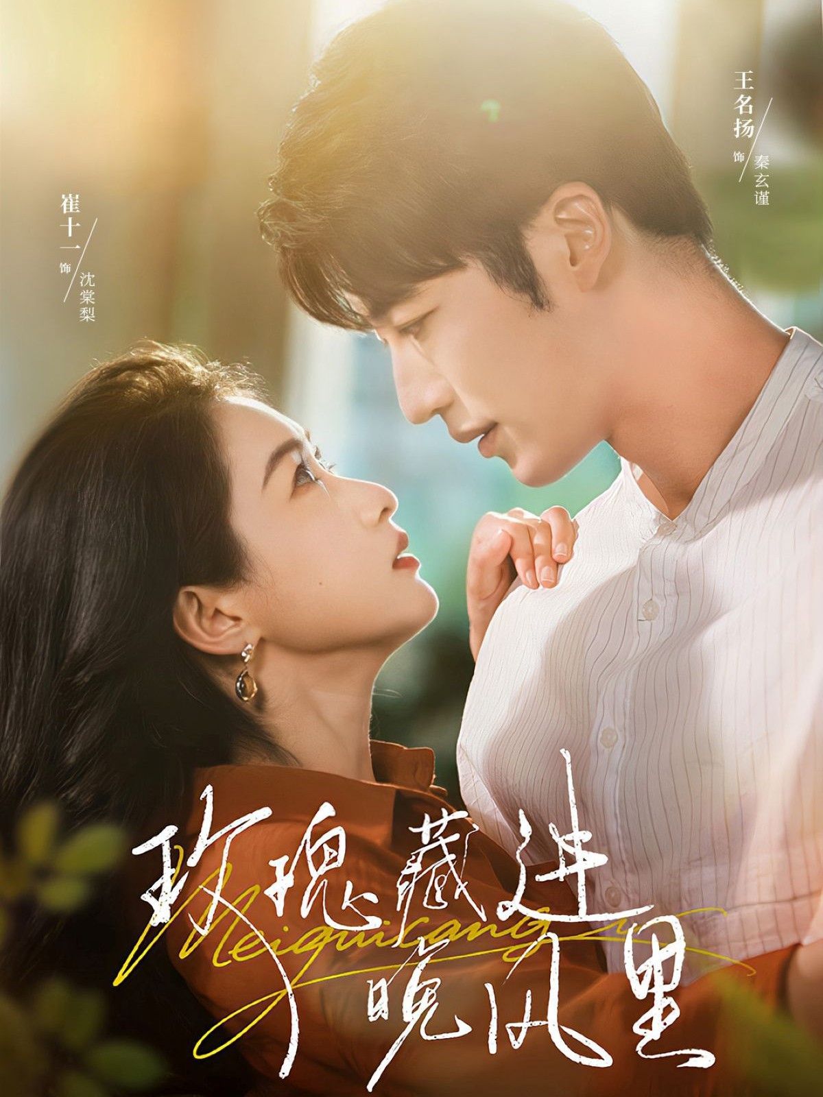 玫瑰藏进晚风里 高清封面