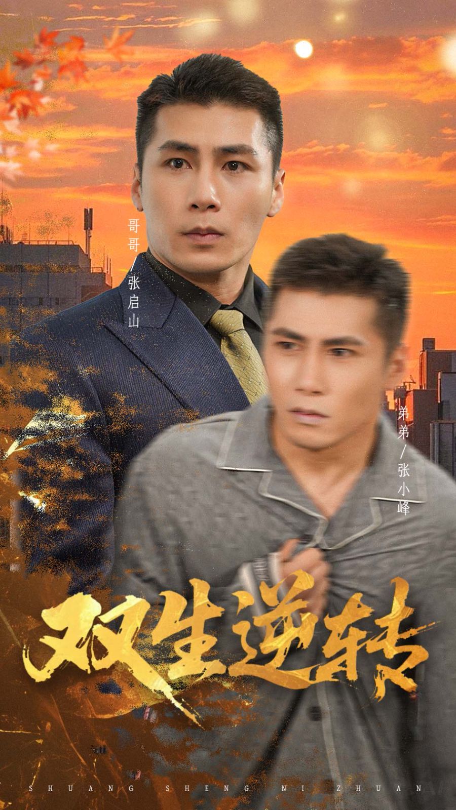 双生逆转 高清封面