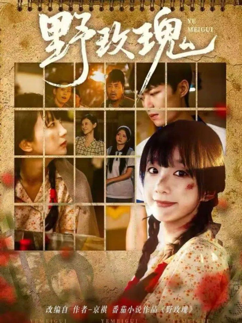 野玫瑰 高清封面