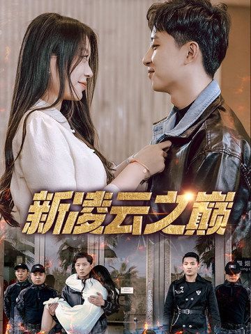 新凌云之巅 封面