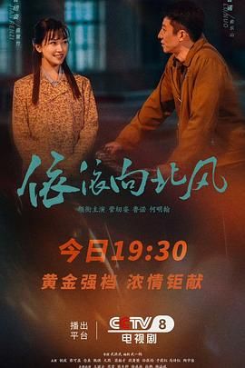 依依向北风 封面