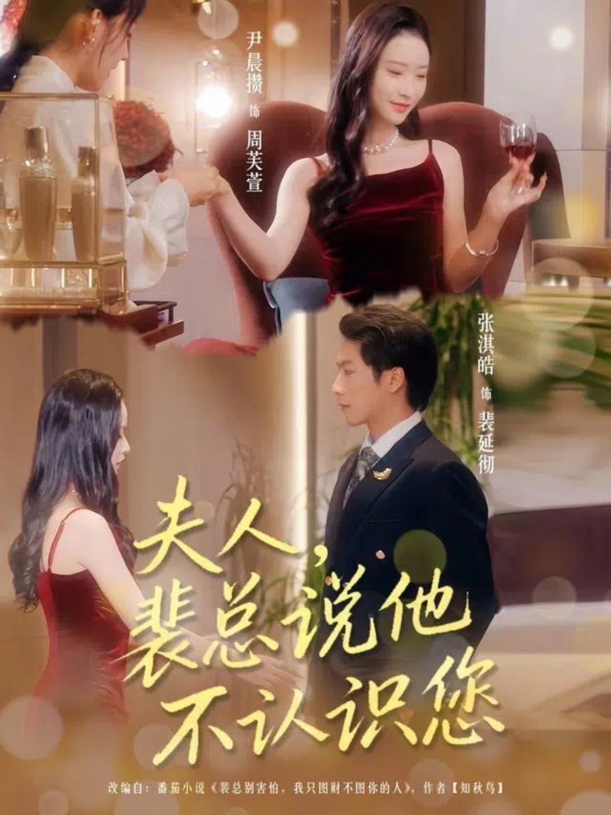 夫人裴总说他不认识您 高清封面