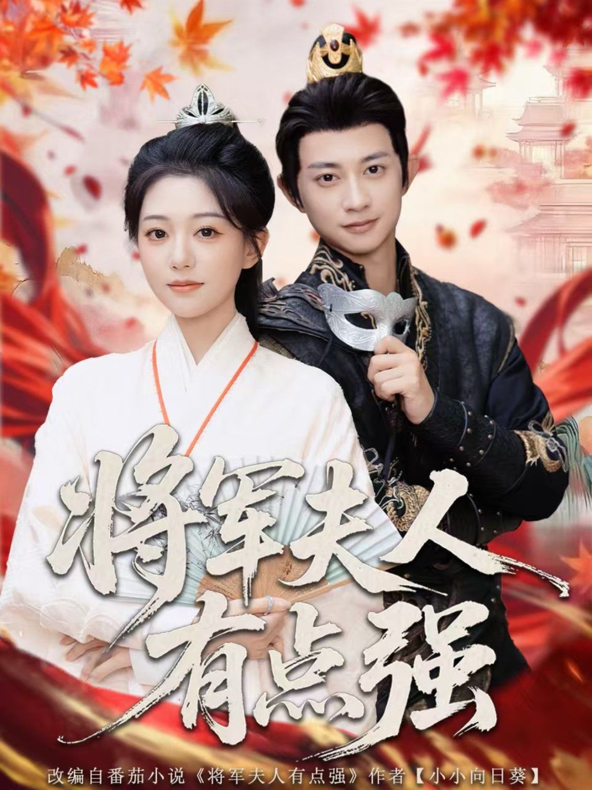 将军夫人有点强 高清封面