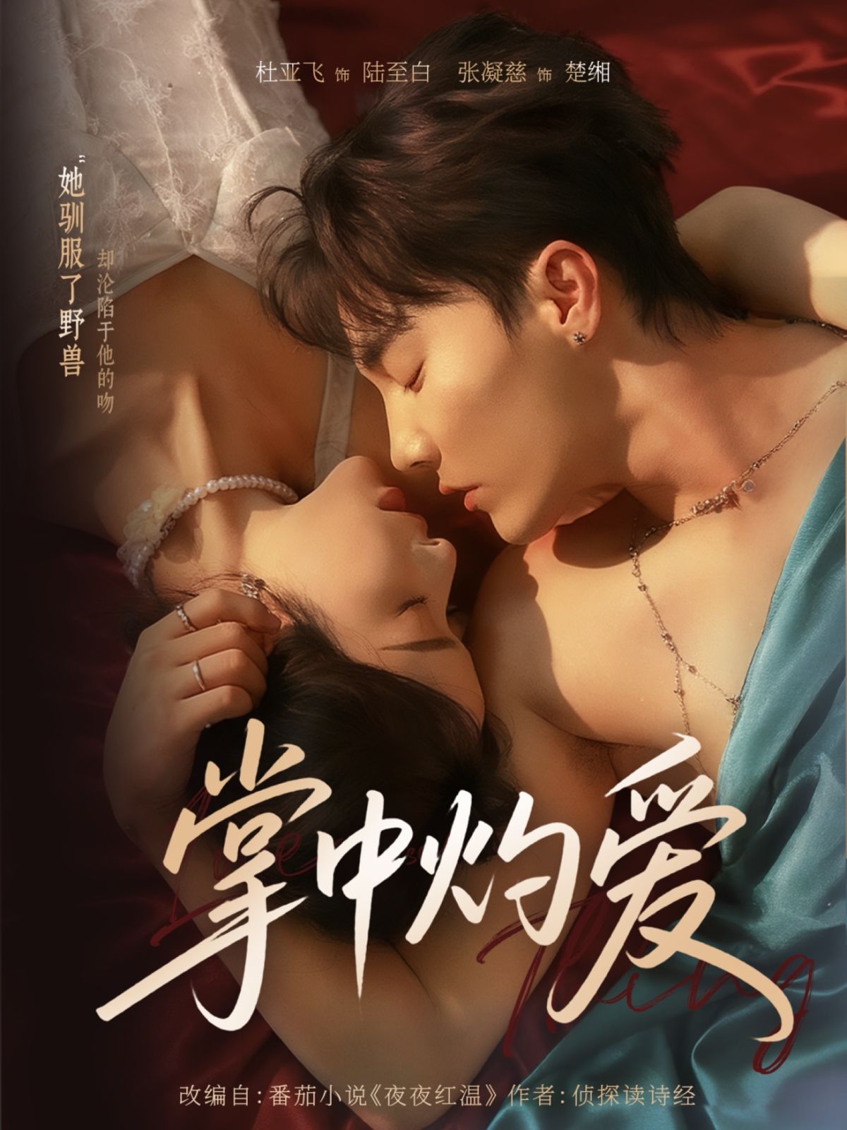 掌中灼爱 高清封面