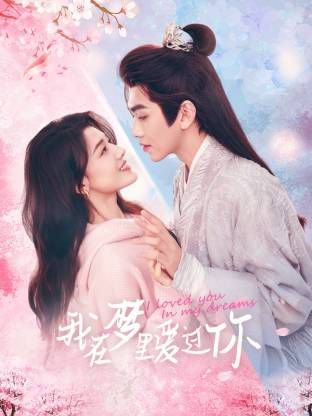我在梦里爱过你 高清封面