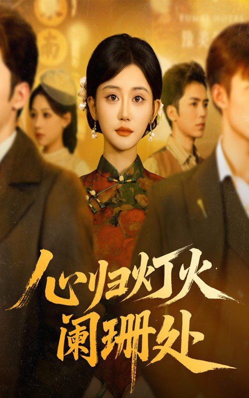 心归灯火阑珊处 高清封面