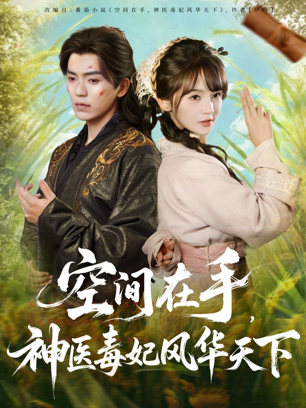 空间在手，神医毒妃风华天下 高清封面