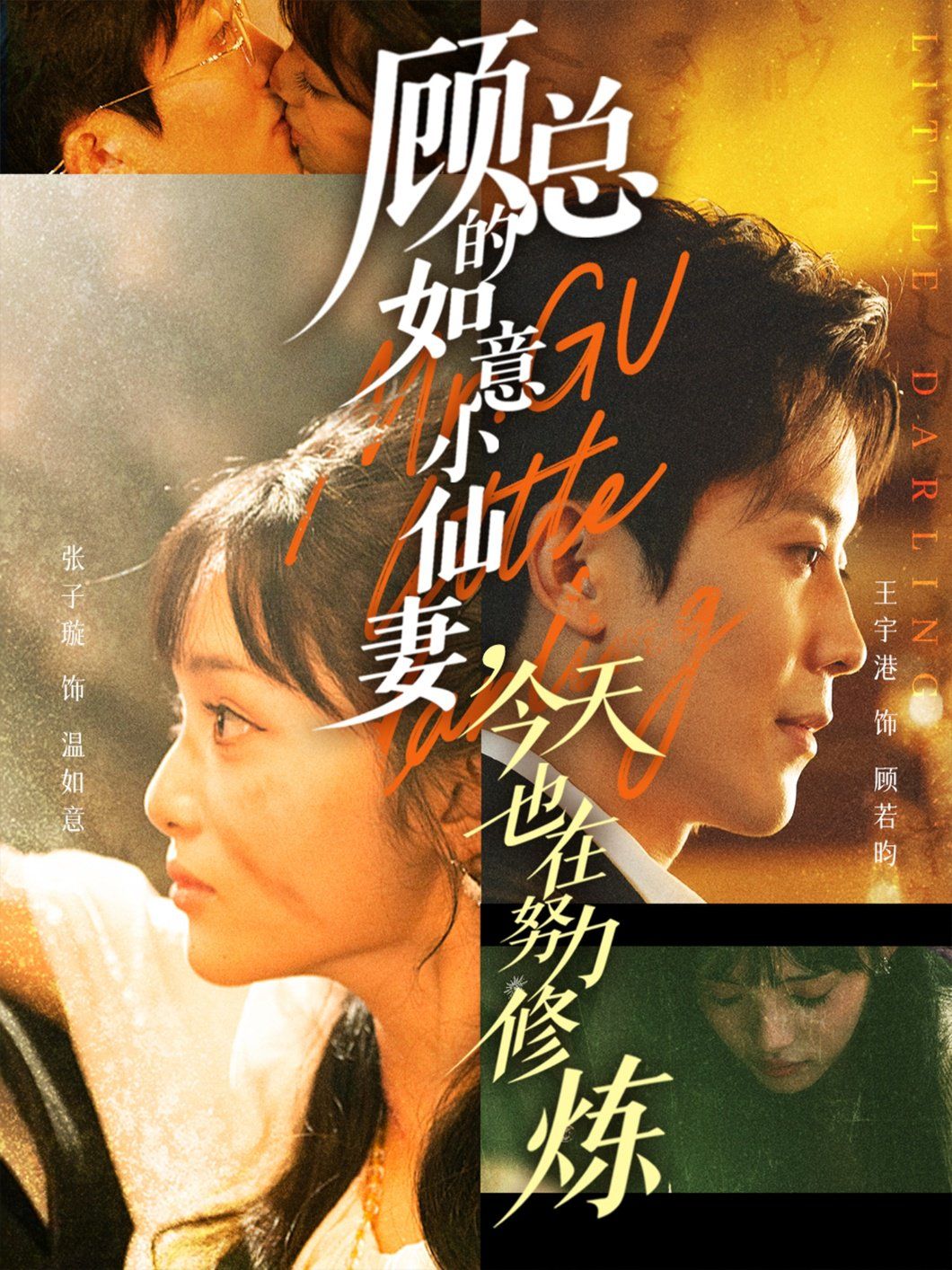 顾总的如意小仙妻，今天也在努力修炼 高清封面