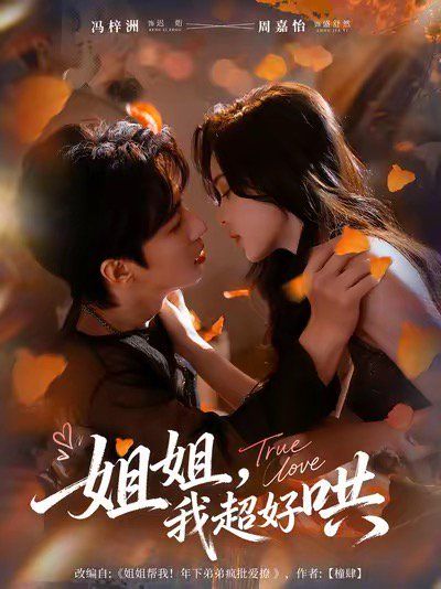 姐姐，我超好哄 高清封面