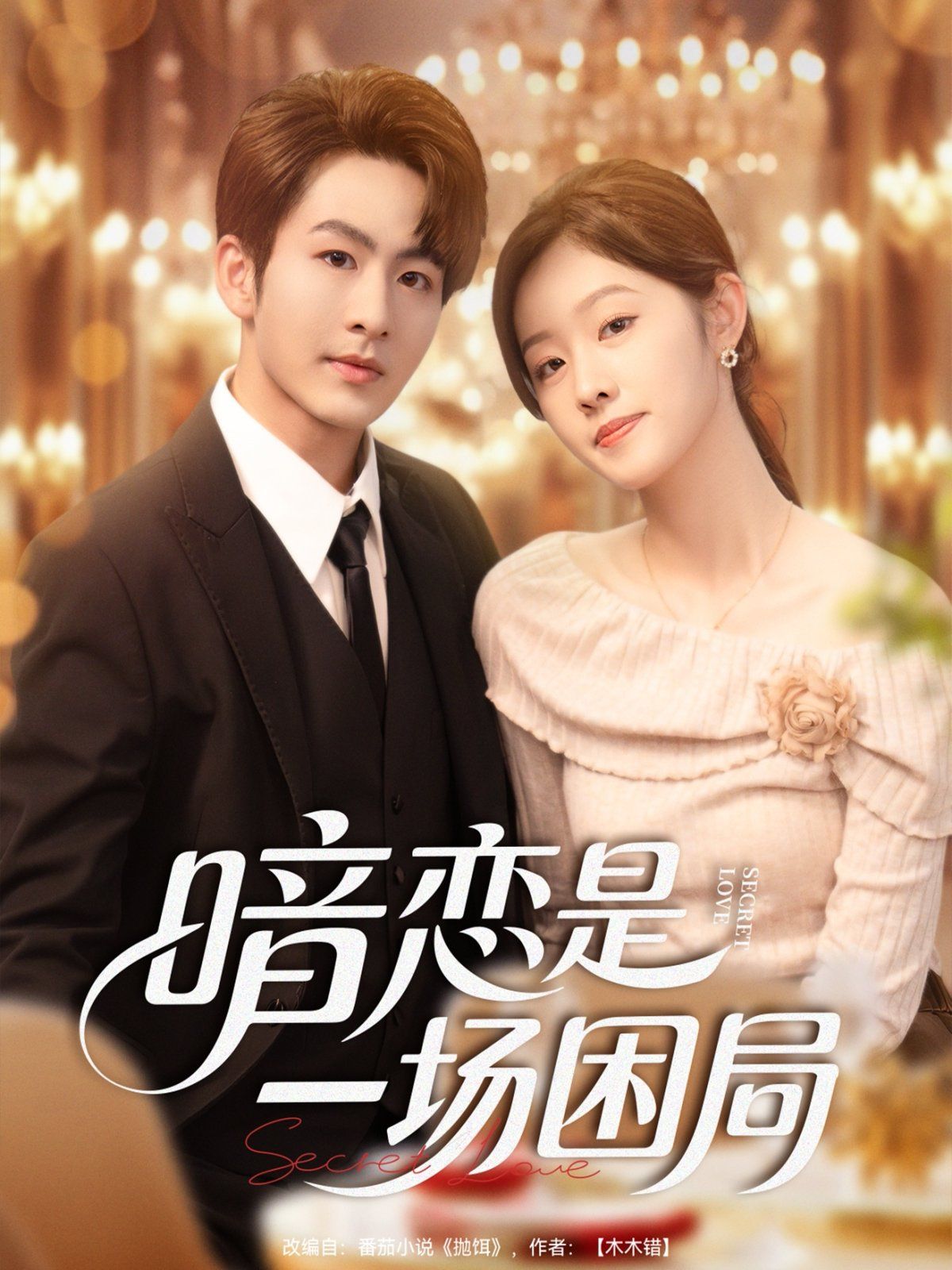 暗恋是一场困局 高清封面