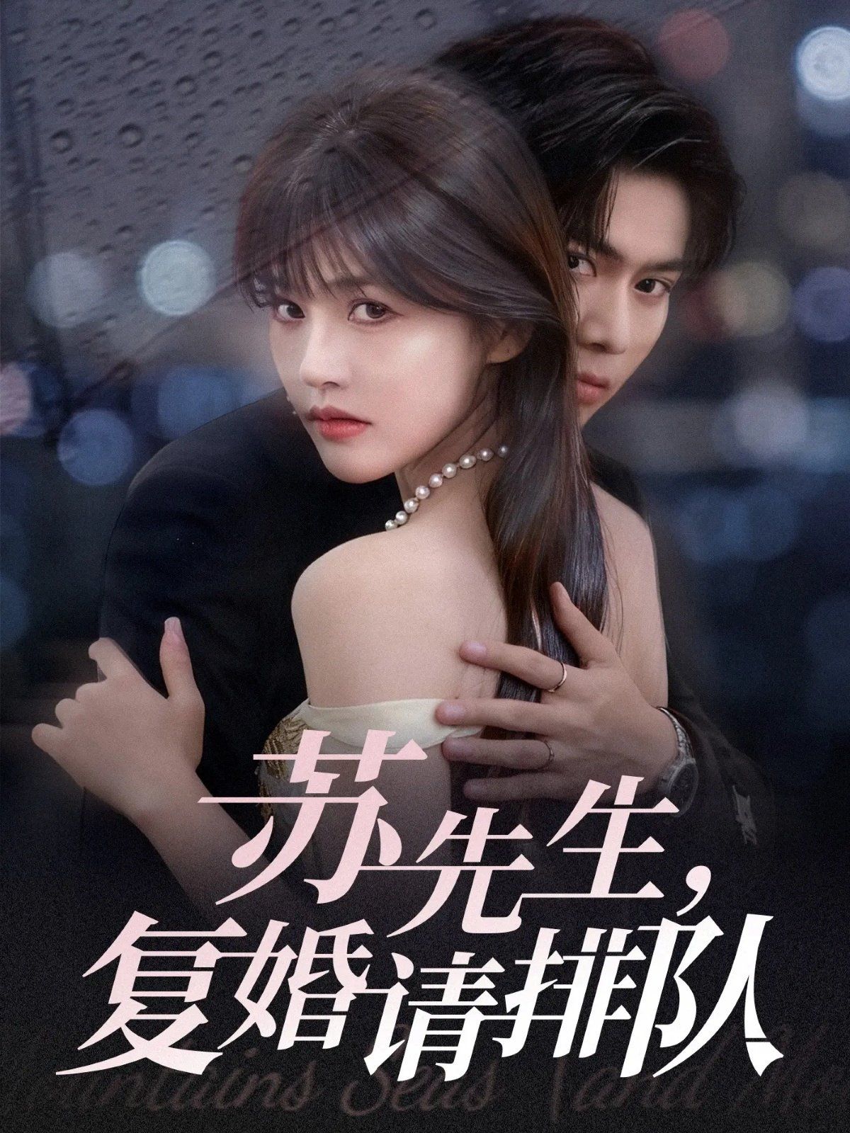 苏先生，复婚请排队 高清封面