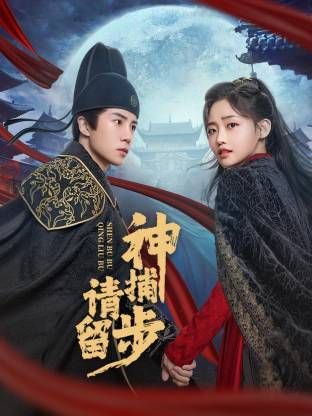 神捕请留步 封面