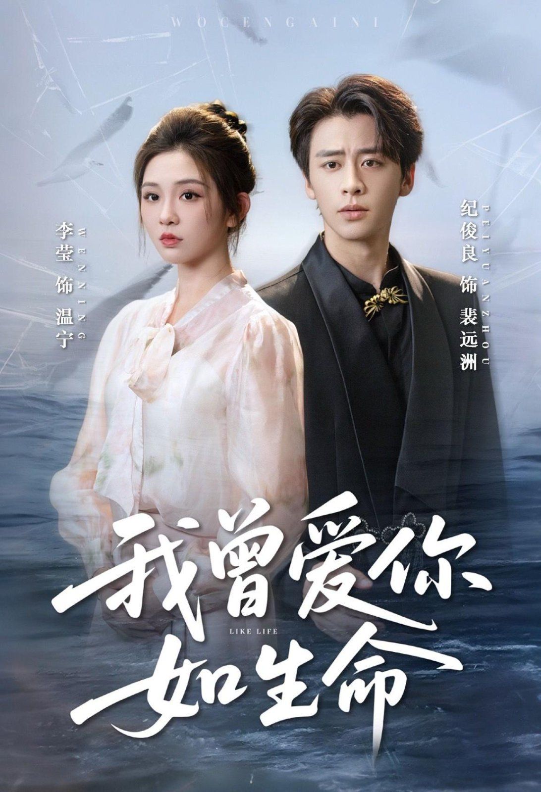 我曾爱你如生命（宁夜向远） 高清封面