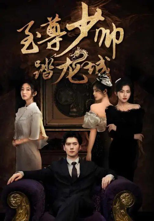 至尊少帅踏龙城 封面