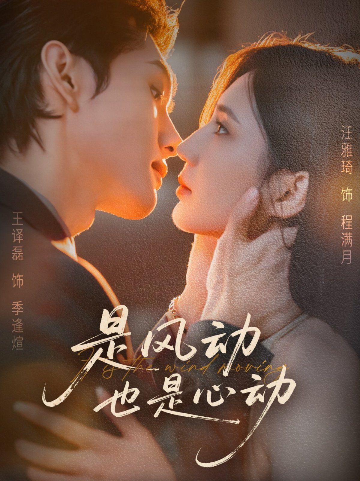 是风动也是心动 高清封面