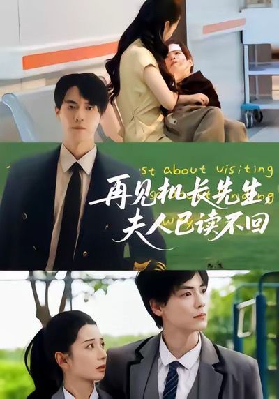 再见机长先生夫人已读不回 高清封面