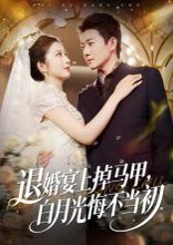 退婚宴上掉马甲，白月光悔不当初 封面