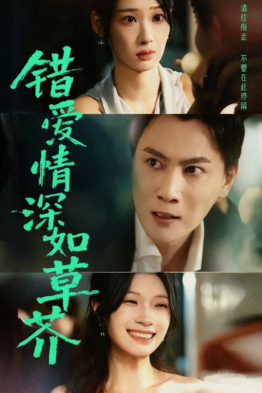 错爱情深如草芥 高清封面