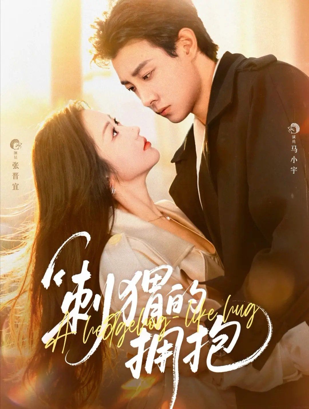 刺猬的拥抱 高清封面