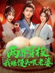 两界穿梭：我赚馒头喂老婆 高清封面