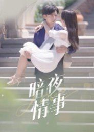 暗夜情事 高清封面